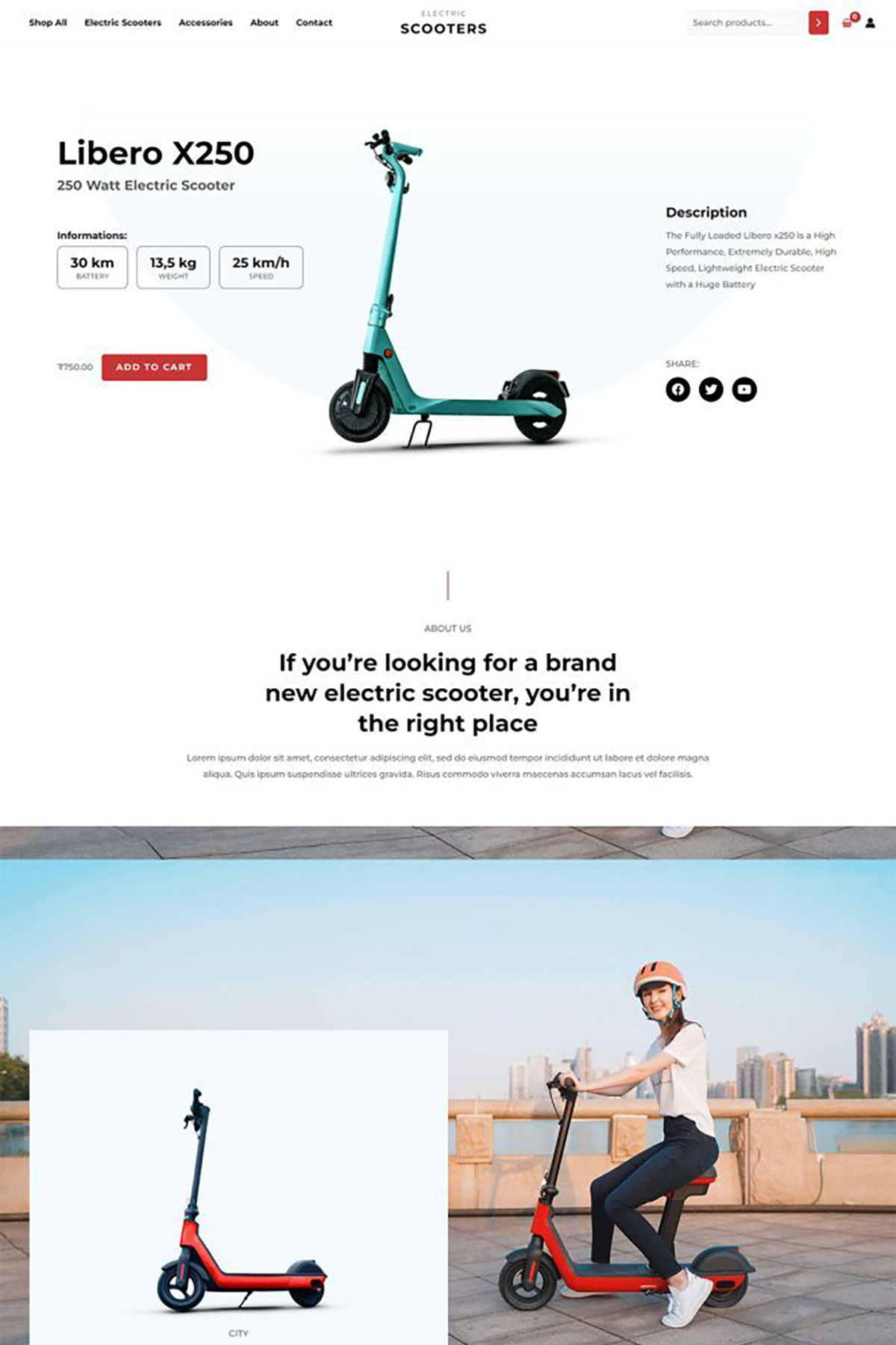 A024 Electric Scooter